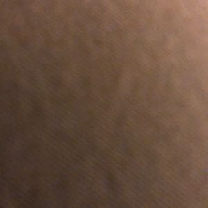 Meet your Posher, Tyson